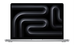 MacBook Pro 14, M4 Pro (14/20), 48GB, 2TB, Silver (Серебристый), английская клавиатура (KB-US), Z1FC0000L, Standard display Z1FC0000L - фото 14968