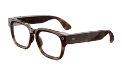 Fury, Mahogany, Transitions Grey