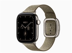 Watch Series 12, 42 мм, Natural, Sage Modern Buckle, L