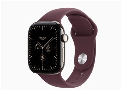 Watch Series 12, 42 мм, Natural, Burgundy, S/M