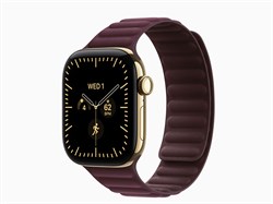 Watch Series 12, 42 мм, Radiant Gold, Burgundy Magnetic Link, S/M