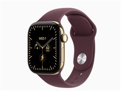 Watch Series 12, 42 мм, Radiant Gold, Burgundy, S/M