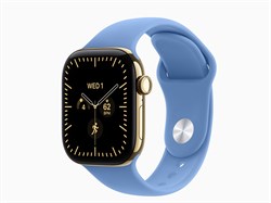 Watch Series 12, 42 мм, Radiant Gold, Wildflower Blue, S/M