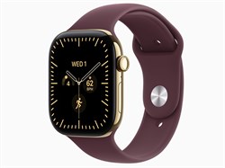 Watch Series 12, 46 мм, Radiant Gold, Burgundy, S/M