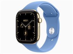 Watch Series 12, 46 мм, Radiant Gold, Wildflower Blue, M/L