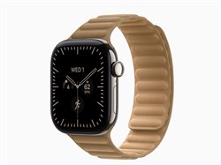 Watch Series 12, 42 мм, Natural, Camel Magnetic Link, M/L