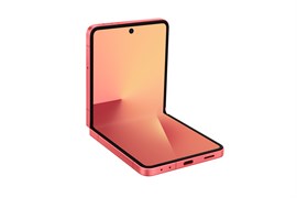 Galaxy Z Flip 7 12GB / 256GB Coralred (Кораллово-красный)  SM-F766B* SM-F766BZRG