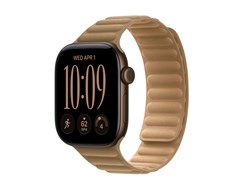 Watch Series 12, 42 мм, Dark Bronze, Camel Magnetic Link, S/M