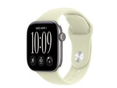 Watch Series 12, 42 мм, Space Gray, Pale Succulent, M/L