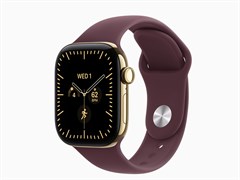 Watch Series 12, 42 мм, Radiant Gold, Burgundy, M/L