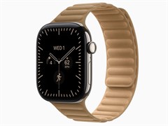 Watch Series 12, 46 мм, Natural, Camel Magnetic Link, M/L