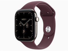 Watch Series 12, 46 мм, Natural, Burgundy, M/L