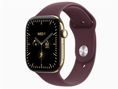 Watch Series 12, 46 мм, Radiant Gold, Burgundy, S/M
