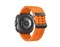 Galaxy Watch Ultra (2025) 47mm / Bluetooth + 4G Titanium Gray (Серый титан) Marine Band Orange S/M/L SM-L705F* Watch_Ultra-SM-L705FZA2