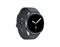 Galaxy Watch8 40mm / Bluetooth + 4G Graphite (Графитовый) Sport Band Graphite S/M SM-L325F* Watch8-SM-L325FDAA