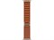 Watch Ultra 3, 49 мм, натуральный титановый корпус, Terra Cotta Alpine браслет - L (165-210 мм) Apple_Watch_Ultra_3-MF1V4-MFTD4-Z0YQ
