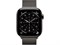 Watch Series 11, 42 мм, Slate титановый корпус, Slate Milanese Loop Apple_Watch_S11-MF9K4-MGJ14-MF8U4