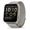 Venu X1 Gold, 010-02980-09, 010-02980-08