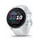 Forerunner 70, 43 мм, Whitestone, 010-04307-01