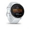 Forerunner 70, 43 мм, Whitestone, 010-04307-01