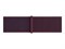 Watch Series 12, 42 мм, Light Gold, Burgundy Sport Loop, One Size