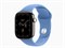 Watch Series 12, 42 мм, Natural, Wildflower Blue, S/M