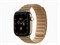 Watch Series 12, 42 мм, Radiant Gold, Camel Magnetic Link, M/L