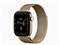 Watch Series 12, 42 мм, Radiant Gold, Radiant Gold Milanese Loop, One Size
