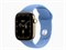 Watch Series 12, 42 мм, Radiant Gold, Wildflower Blue, M/L