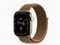 Watch Series 12, 42 мм, Radiant Gold, Light Umber Plaid Sport Loop, One Size