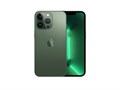 iPhone 13 Pro 256 ГБ, Alpine Green (Альпийский зелёный) MNDU3LL - фото 443